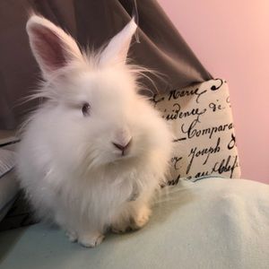 Meet your Posher, Sonja